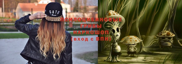 PSILOCYBIN Абдулино