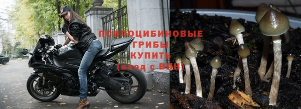 PSILOCYBIN Абдулино