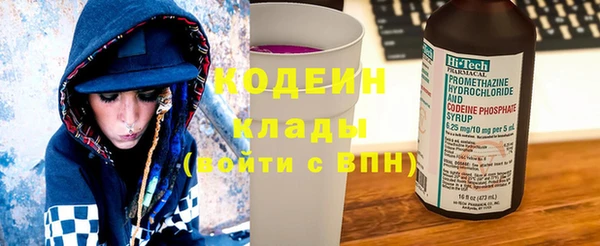 гашик Няндома