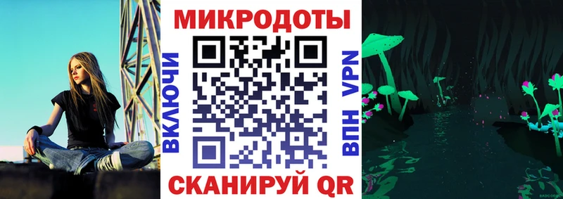 Псилоцибиновые грибы Cubensis Пойковский